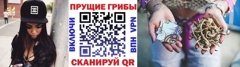 кракен ONION Севастополь Псилоцибиновые грибы ЛСД